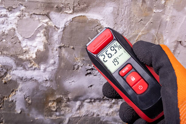Best Emergency Mold Remediation in Welch, WV