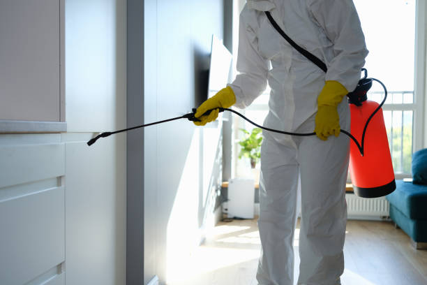 Trusted Welch, WV Mold Remediation Experts